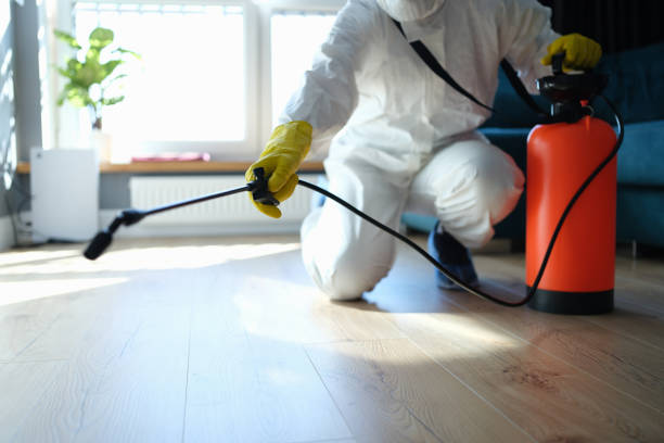 Reliable Biohazard Cleanup contractor in Marissa, IL by Trauma Clean Pros